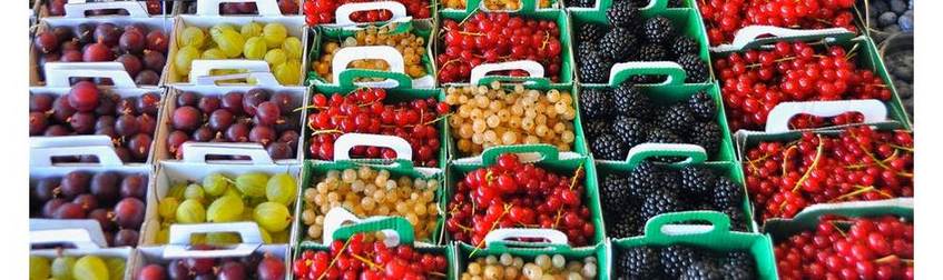 Тенденції ринку холодного зберігання плодоовочевої продукції в Україні - Зображення - 20