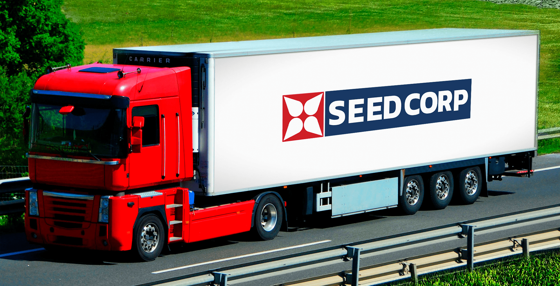 Кейс: разработка логотипа для компании Seed Corp — Rubarb - Изображение - 7