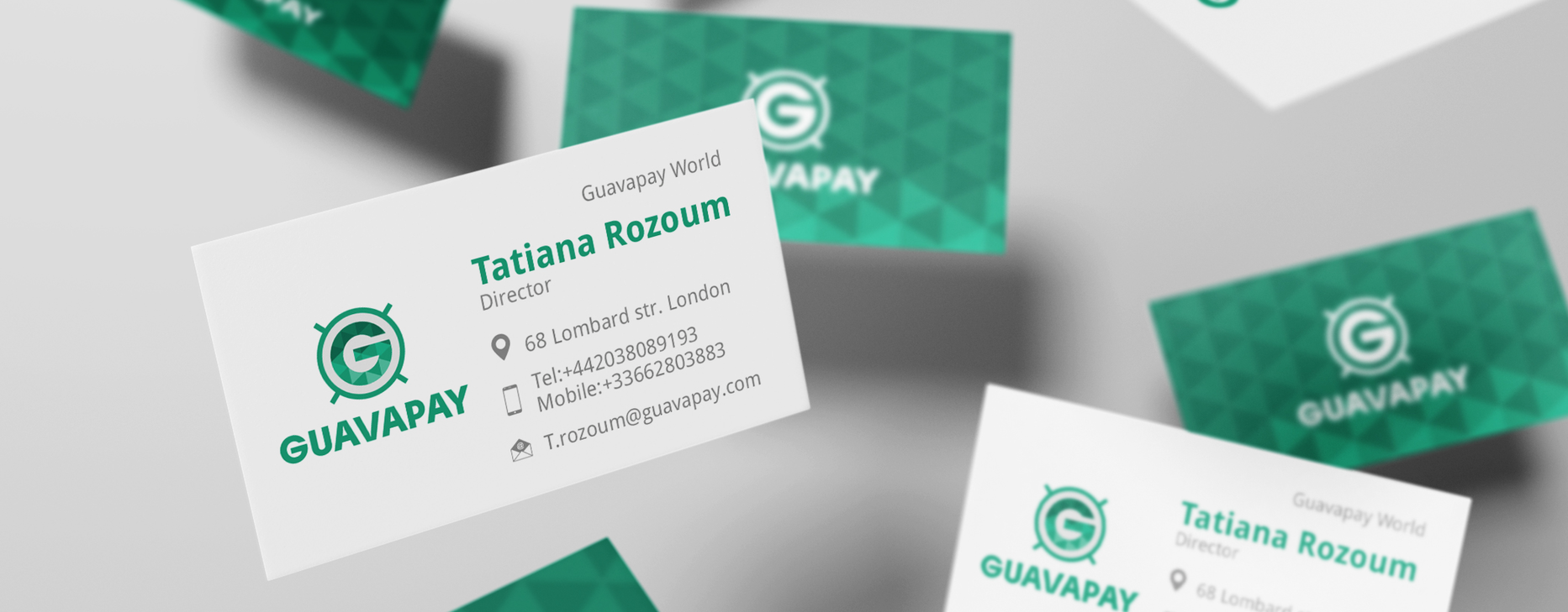 Case: development of a logo, corporate identity, video and website for GuavaPay — Rubarb - Image - 4