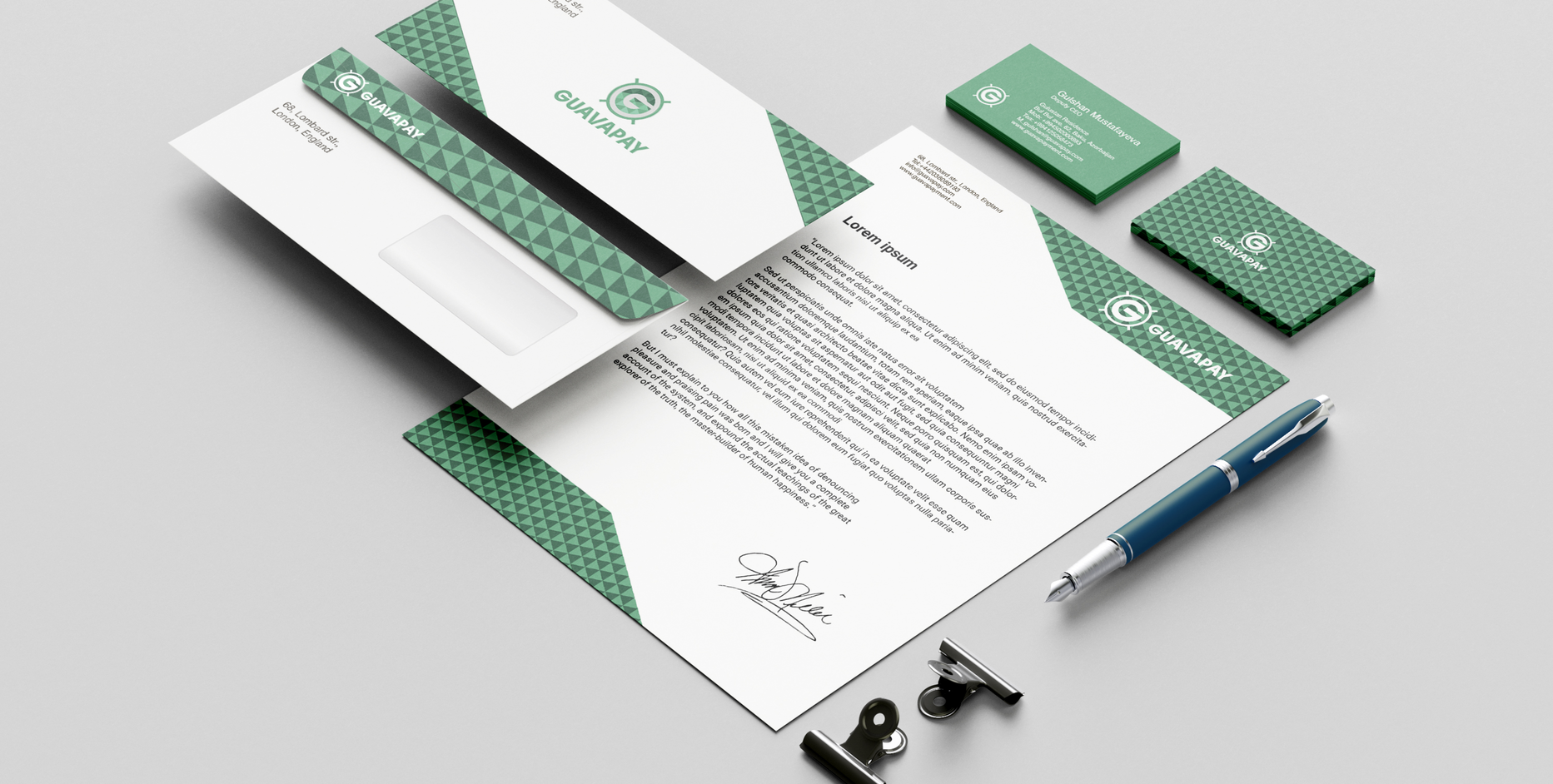 Case: development of a logo, corporate identity, video and website for GuavaPay — Rubarb - Image - 7