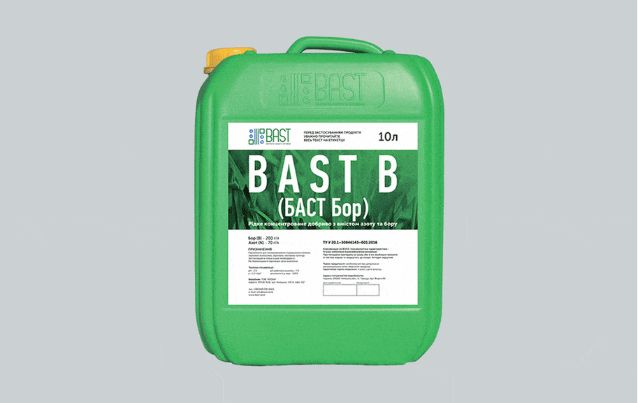 Case: website development, logo, video and branding for Bast — Rubarb - Image - 8