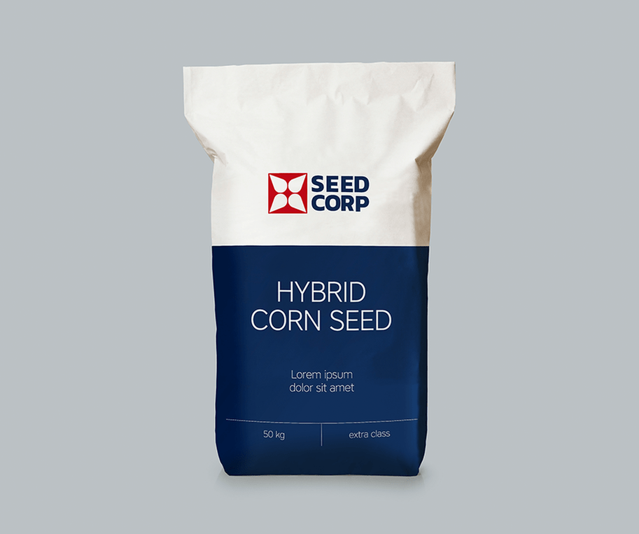 Кейс: разработка логотипа для компании Seed Corp — Rubarb - Изображение - 3