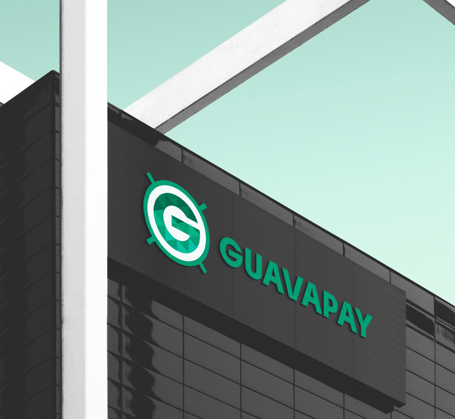 Case: development of a logo, corporate identity, video and website for GuavaPay — Rubarb - Image - 2