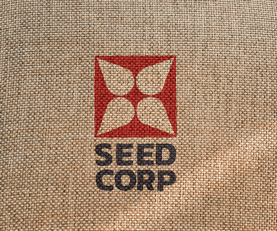 Кейс: разработка логотипа для компании Seed Corp — Rubarb - Изображение - 4