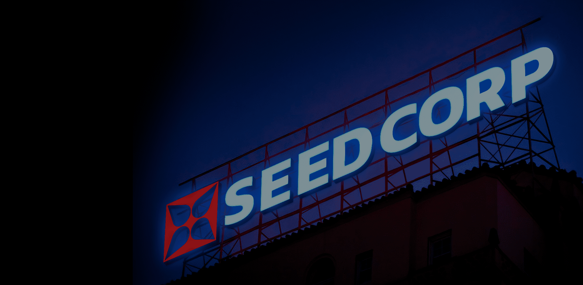 Кейс: разработка логотипа для компании Seed Corp — Rubarb - Изображение - 9